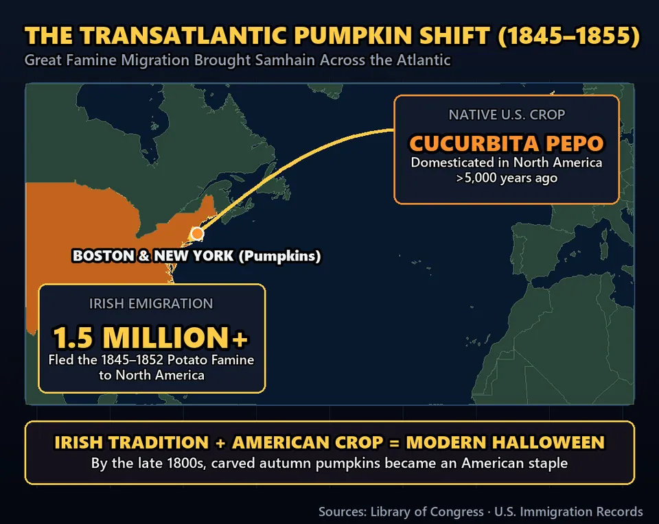 Diagram GeeGit: During Ireland's Great Famine in the 1840s, more than a million people fled, many of them to the United States.