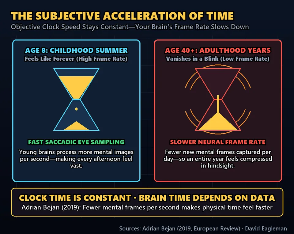 Diagram GeeGit: When you were eight years old, summer holidays felt like they lasted forever. Today, whole years vanish in a blink.